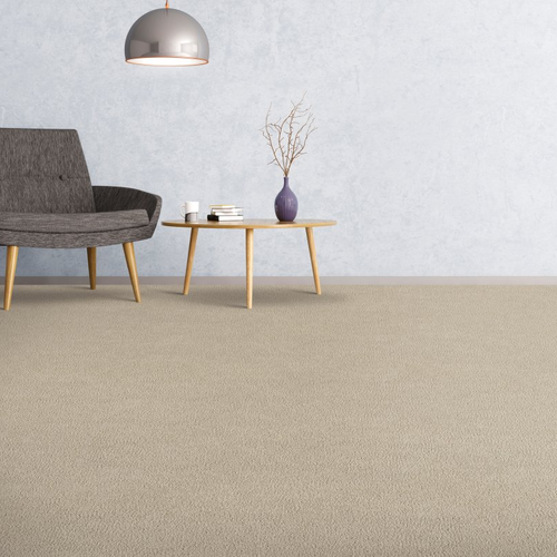 Custom Carpet and Vinyl Inc.  provides easy stain-resistant pet proof carpet in Chesapeake, VA - Hl099-749
